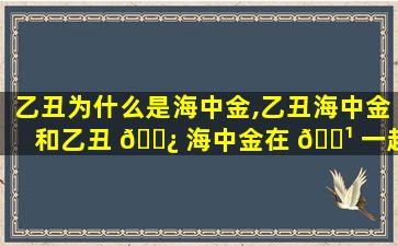 乙丑为什么是海中金,乙丑海中金和乙丑 🌿 海中金在 🌹 一起好吗